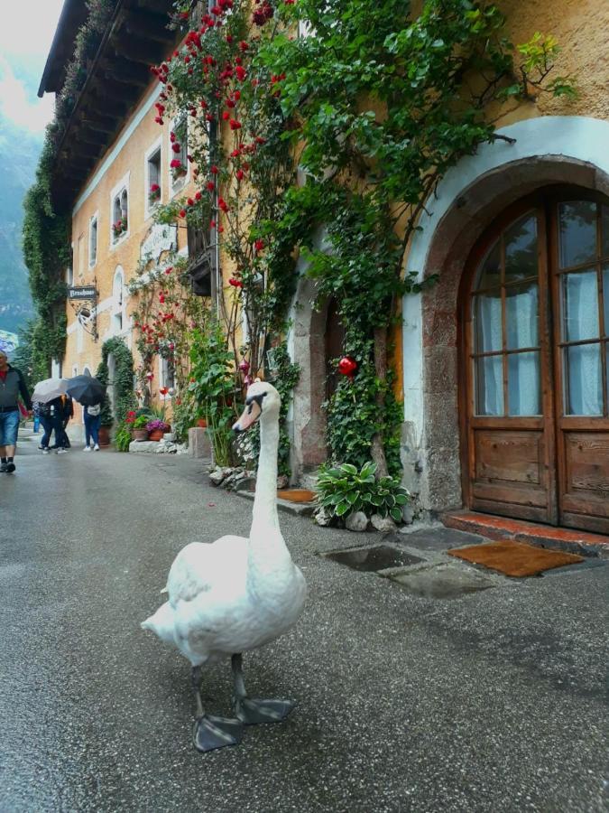 Braeugasthof Hallstatt Bagian luar foto